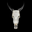 White Carved Cow Skull With Abalone Shell Accents - Peacock motif | Skull,A/143