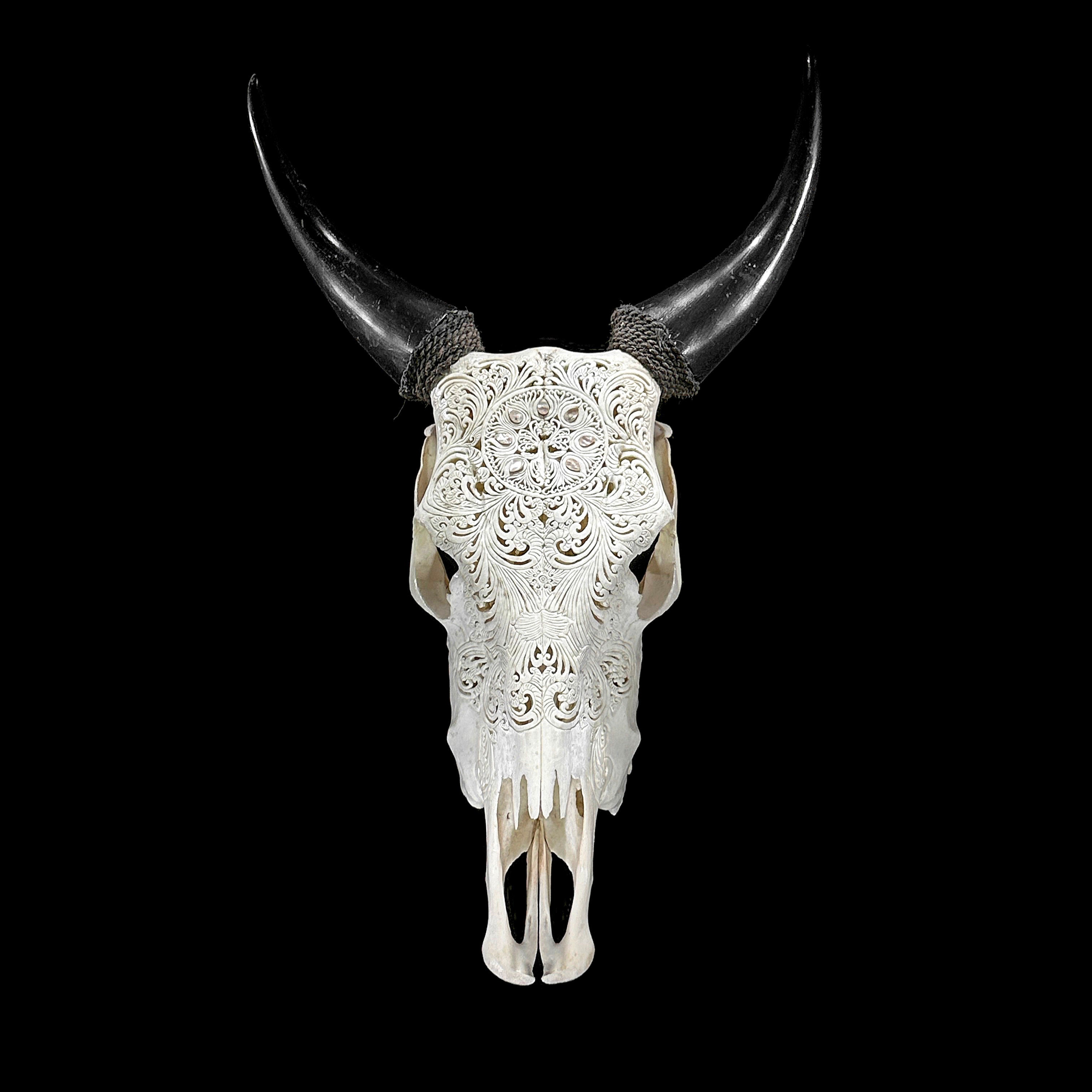 White Carved Cow Skull With Abalone Shell Accents - Peacock motif | Skull,A/143