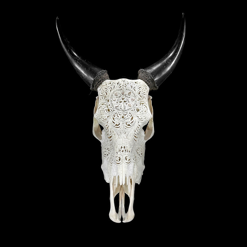 White Carved Cow Skull With Abalone Shell Accents - Peacock motif | Skull,A/143