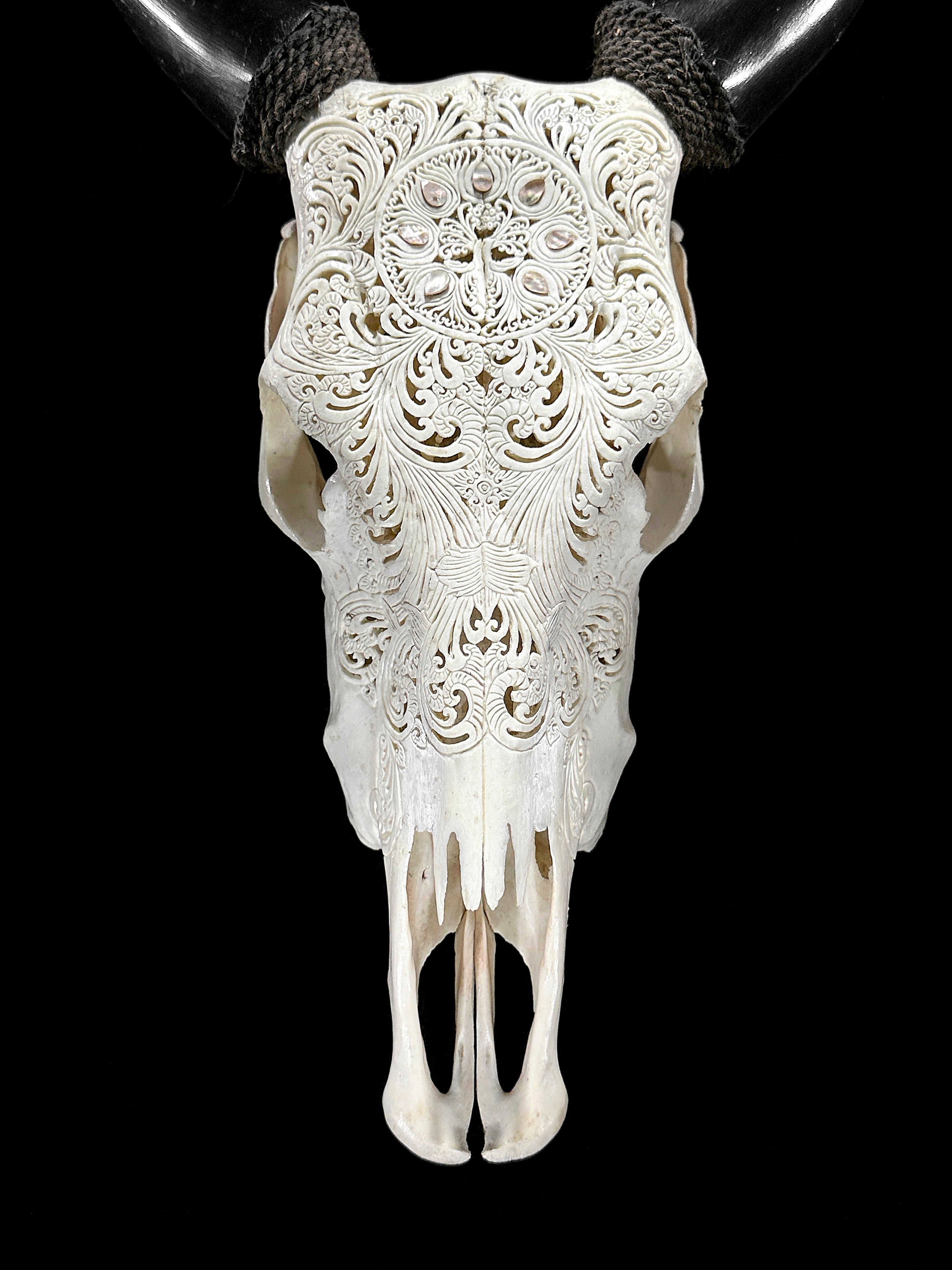 White Carved Cow Skull With Abalone Shell Accents - Peacock motif | Skull,A/143