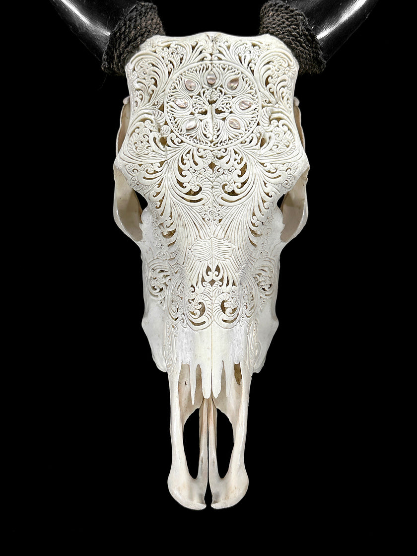 White Carved Cow Skull With Abalone Shell Accents - Peacock motif | Skull,A/143