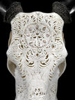 White Carved Cow Skull With Abalone Shell Accents - Peacock motif | Skull,A/143