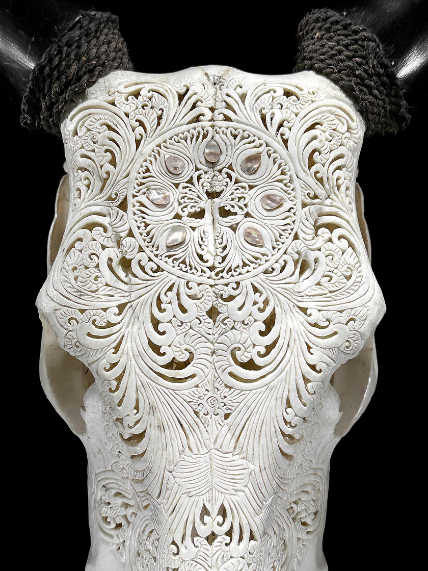 White Carved Cow Skull With Abalone Shell Accents - Peacock motif | Skull,A/143