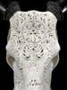 White Carved Cow Skull With Abalone Shell Accents - Peacock motif | Skull,A/143