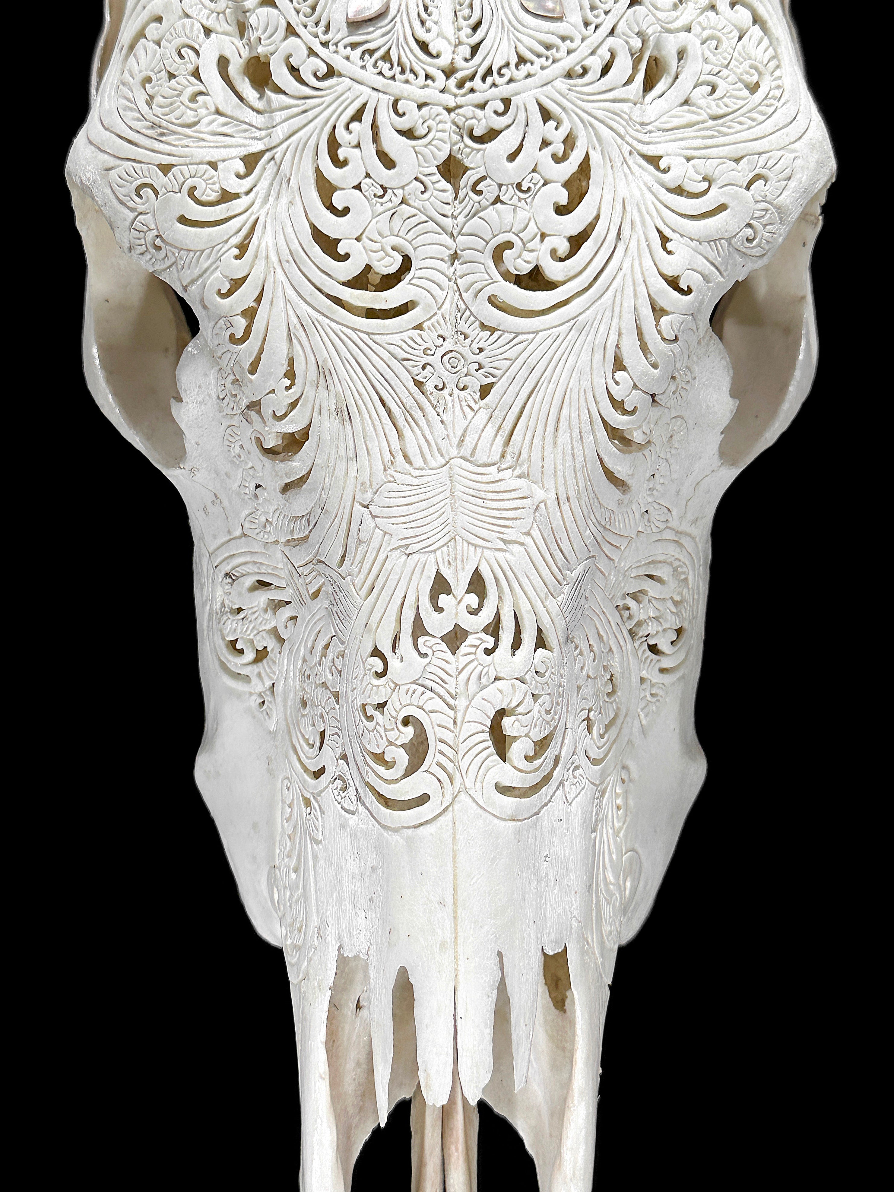 White Carved Cow Skull With Abalone Shell Accents - Peacock motif | Skull,A/143