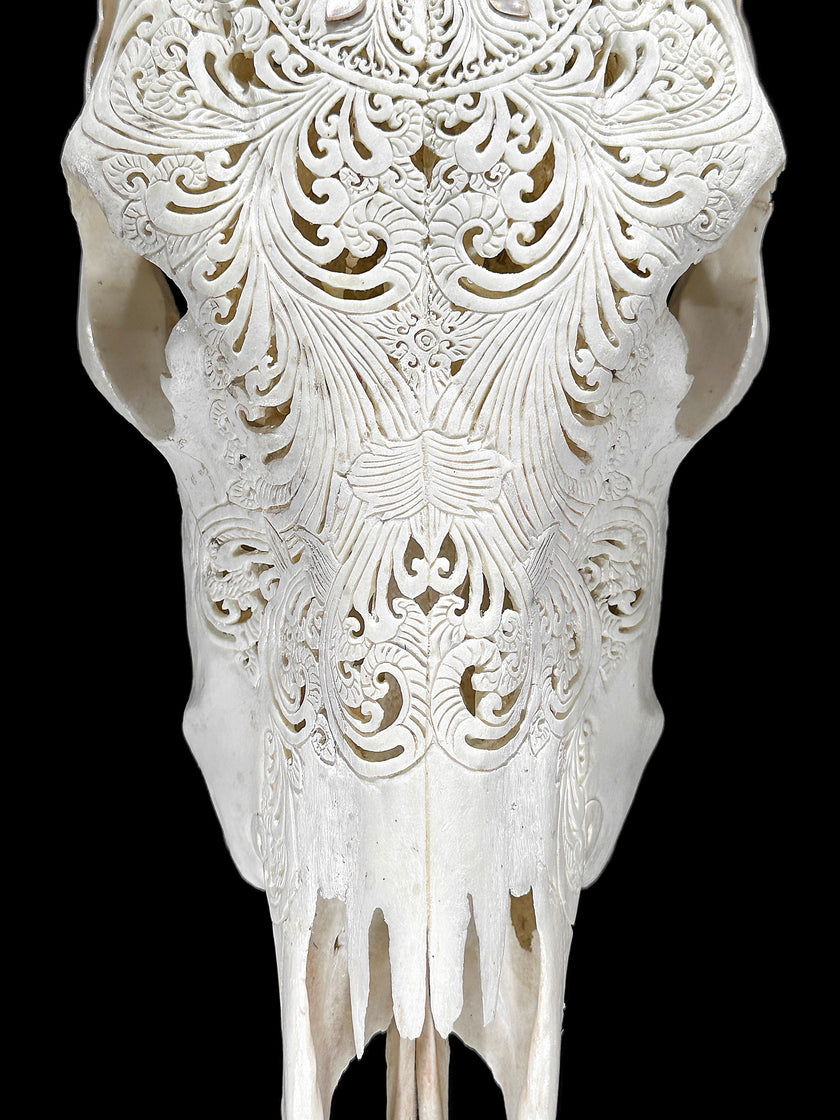 White Carved Cow Skull With Abalone Shell Accents - Peacock motif | Skull,A/143