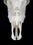 White Carved Cow Skull With Abalone Shell Accents - Peacock motif | Skull,A/143