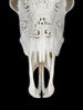 White Carved Cow Skull With Abalone Shell Accents - Peacock motif | Skull,A/143