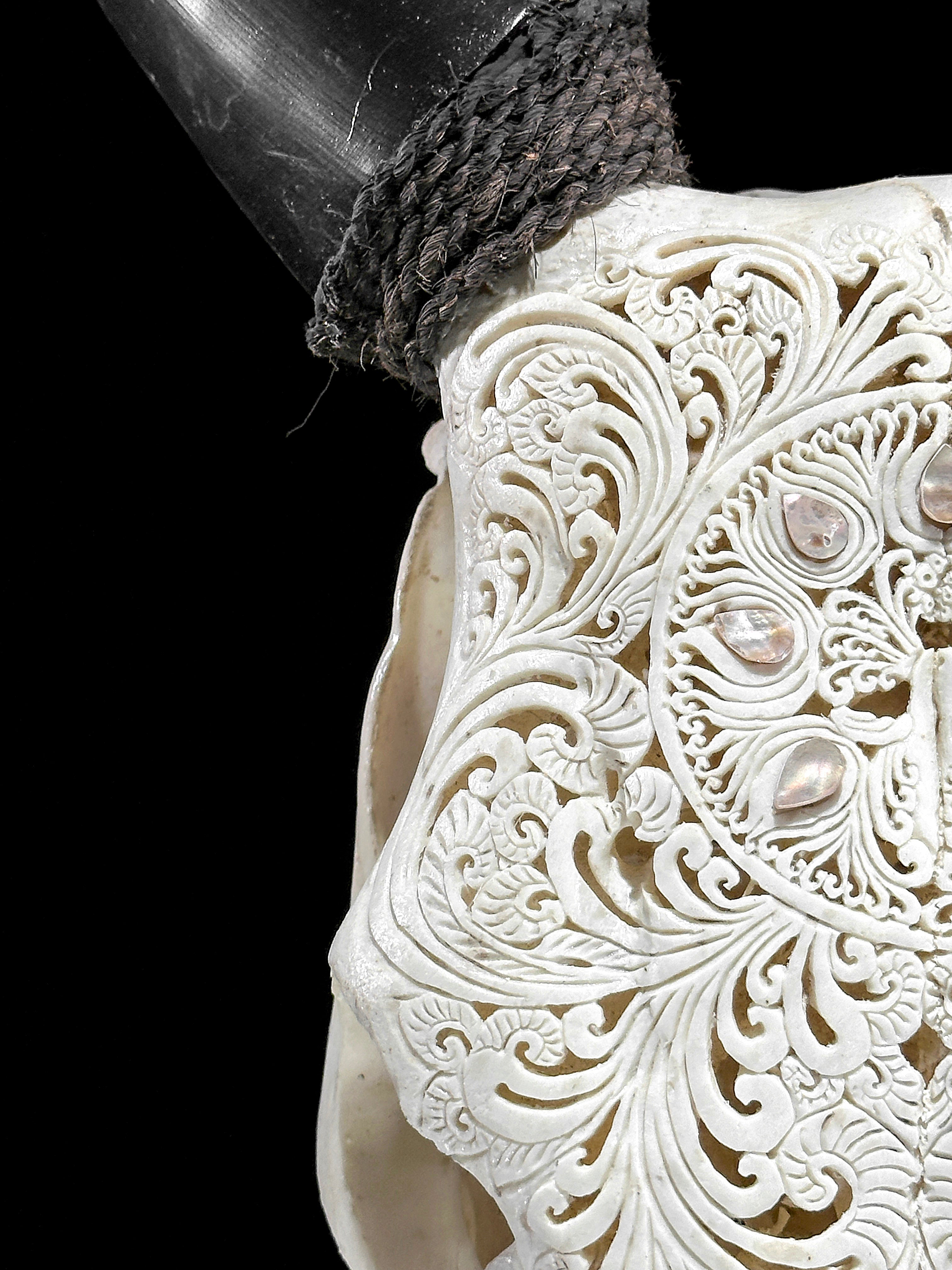 White Carved Cow Skull With Abalone Shell Accents - Peacock motif | Skull,A/143