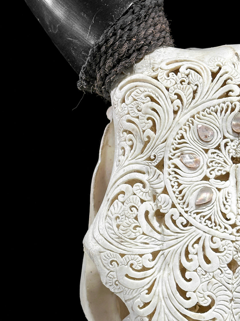 White Carved Cow Skull With Abalone Shell Accents - Peacock motif | Skull,A/143
