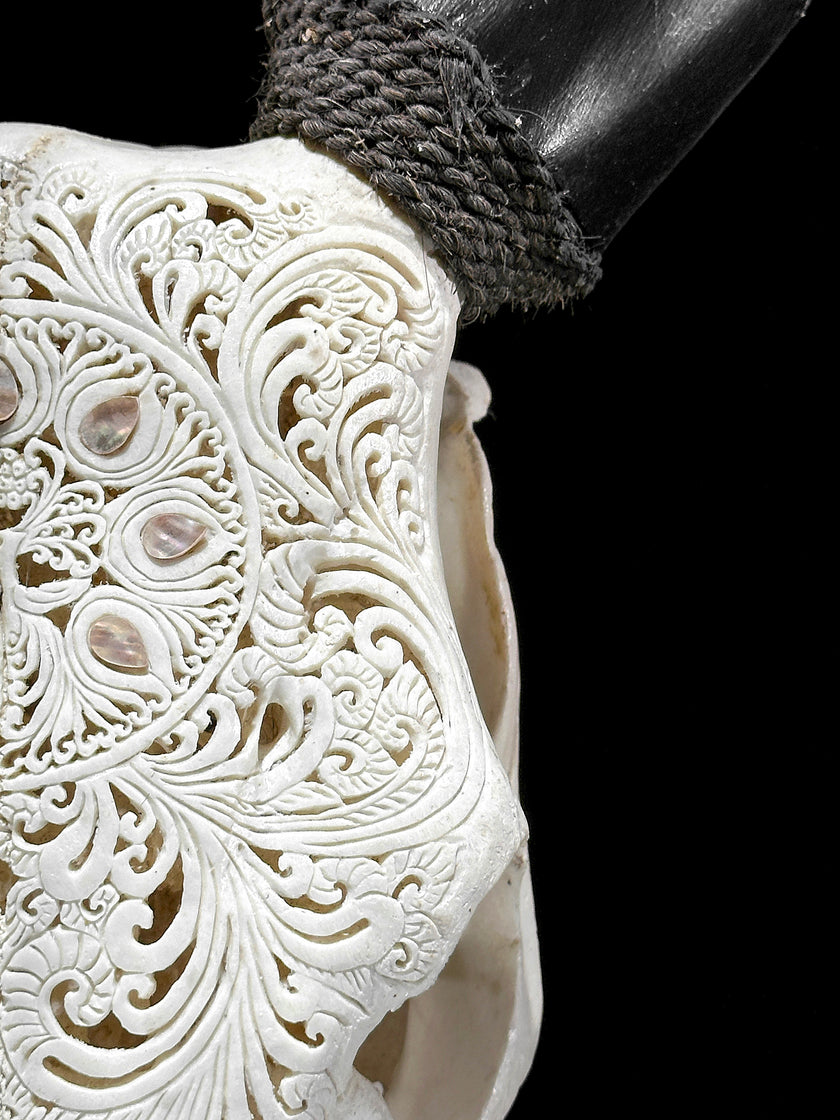White Carved Cow Skull With Abalone Shell Accents - Peacock motif | Skull,A/143