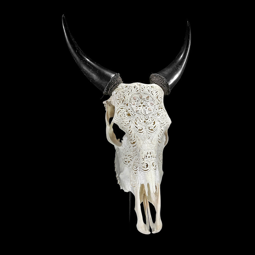 White Carved Cow Skull With Abalone Shell Accents - Peacock motif | Skull,A/143