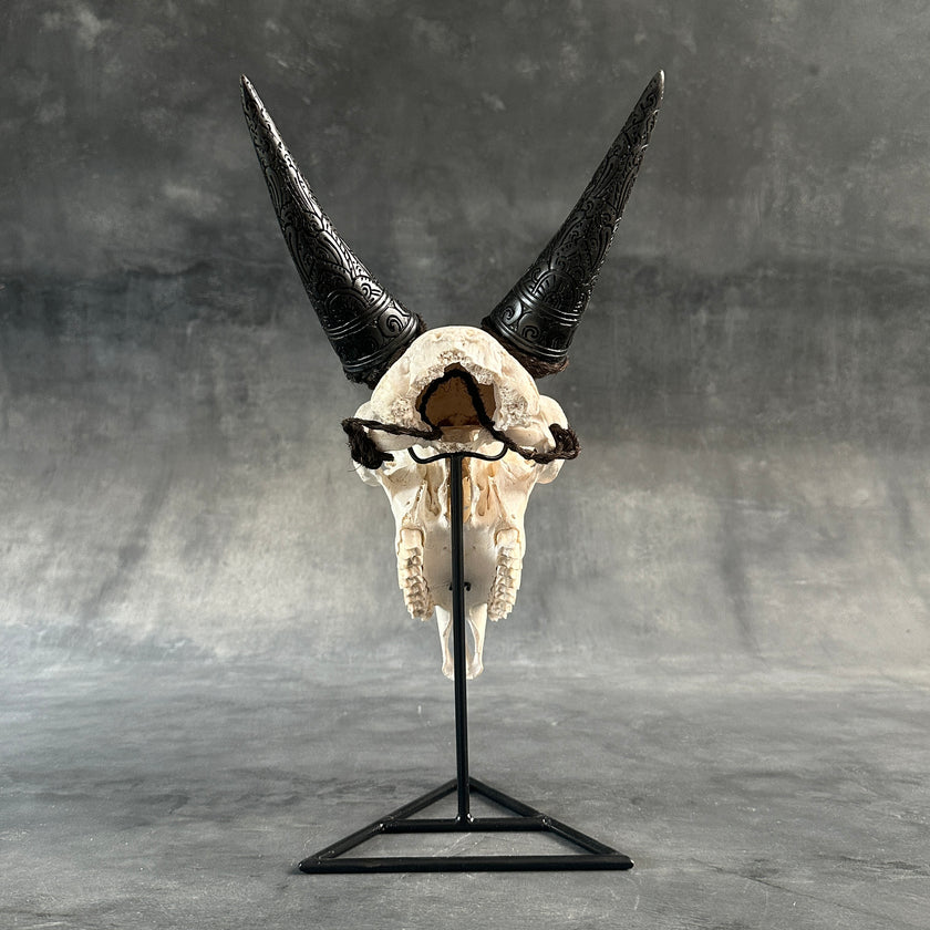 White Carved Goat Skull & Horns on Stand - Star Mandala Engravings – Unique Gothic Boho Home Decor, Rustic Wall Mount