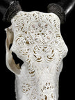 White Carved Cow Skull With Abalone Shell Accents - Peacock motif | Skull,A/143
