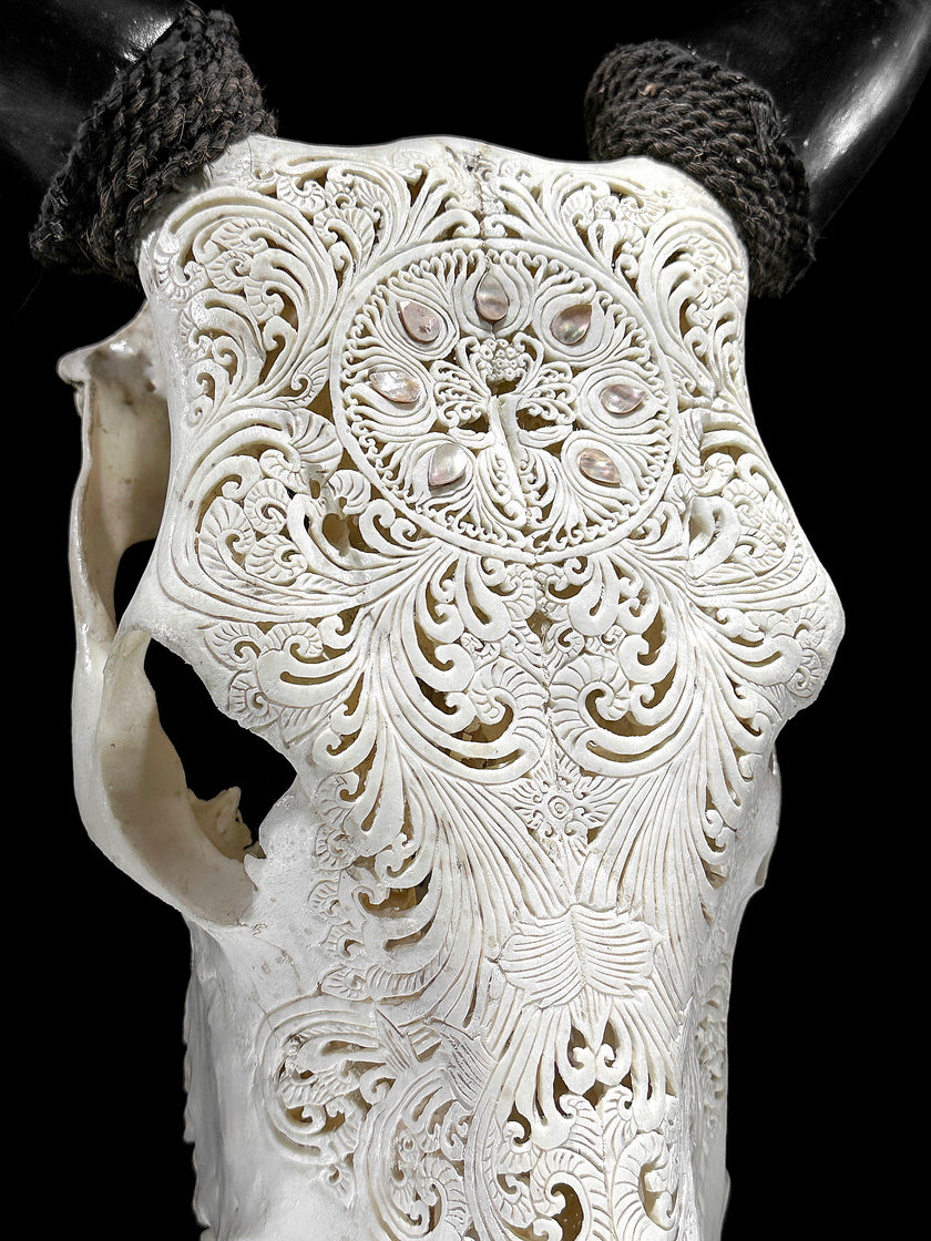 White Carved Cow Skull With Abalone Shell Accents - Peacock motif | Skull,A/143