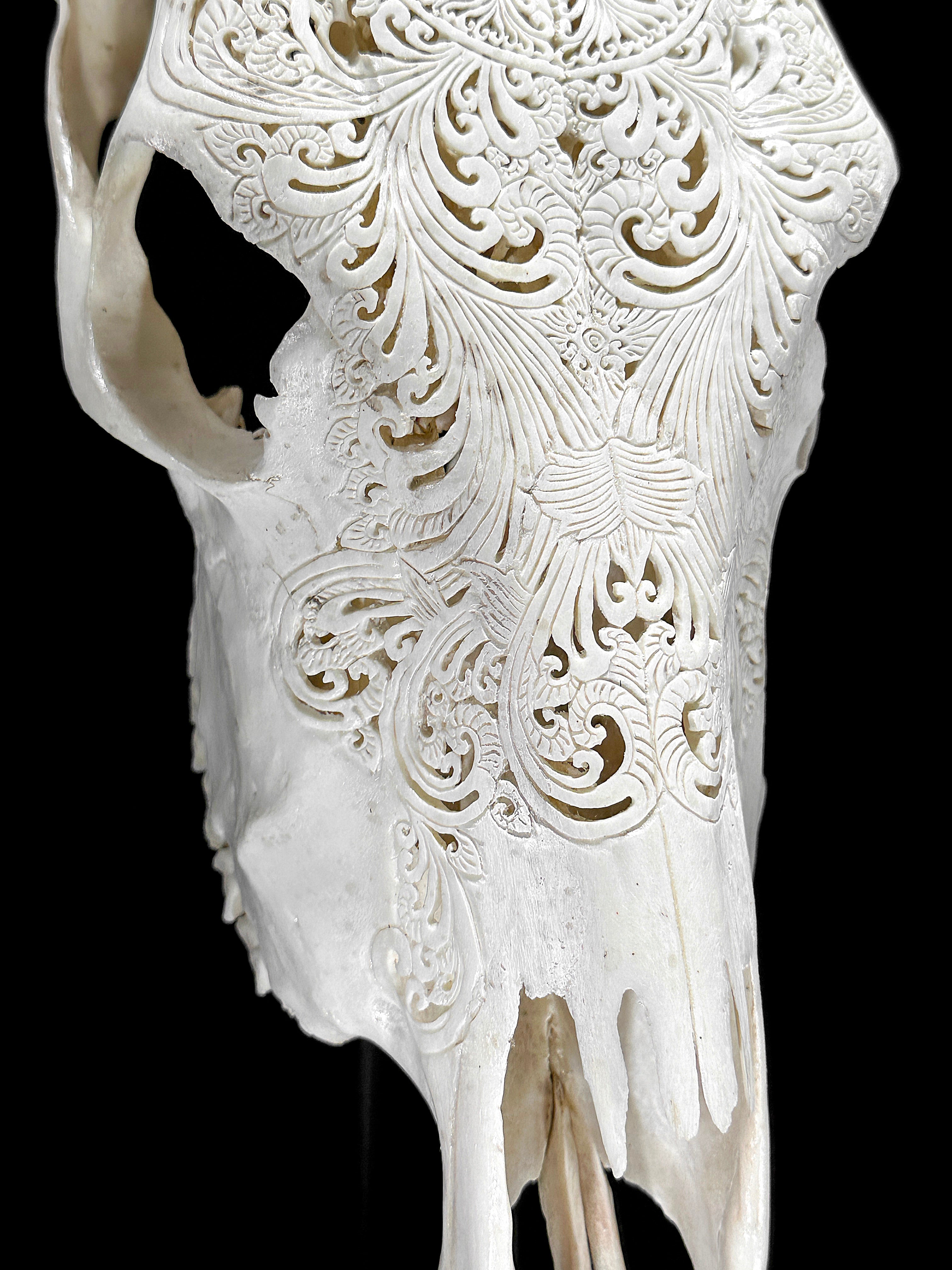 White Carved Cow Skull With Abalone Shell Accents - Peacock motif | Skull,A/143