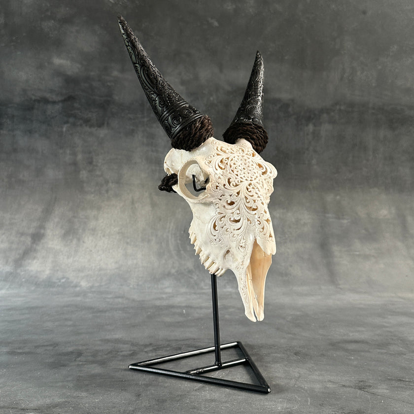 White Carved Goat Skull & Horns on Stand - Star Mandala Engravings – Unique Gothic Boho Home Decor, Rustic Wall Mount