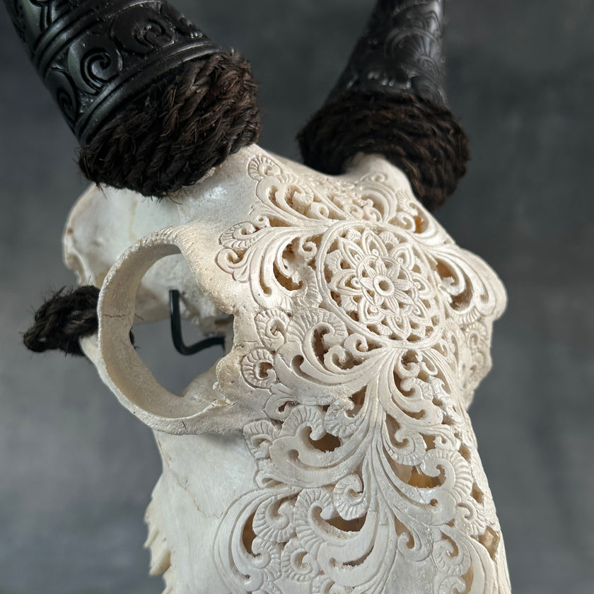 White Carved Goat Skull & Horns on Stand - Star Mandala Engravings – Unique Gothic Boho Home Decor, Rustic Wall Mount
