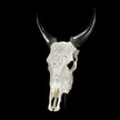 White Carved Cow Skull With Abalone Shell Accents - Peacock motif | Skull,A/143
