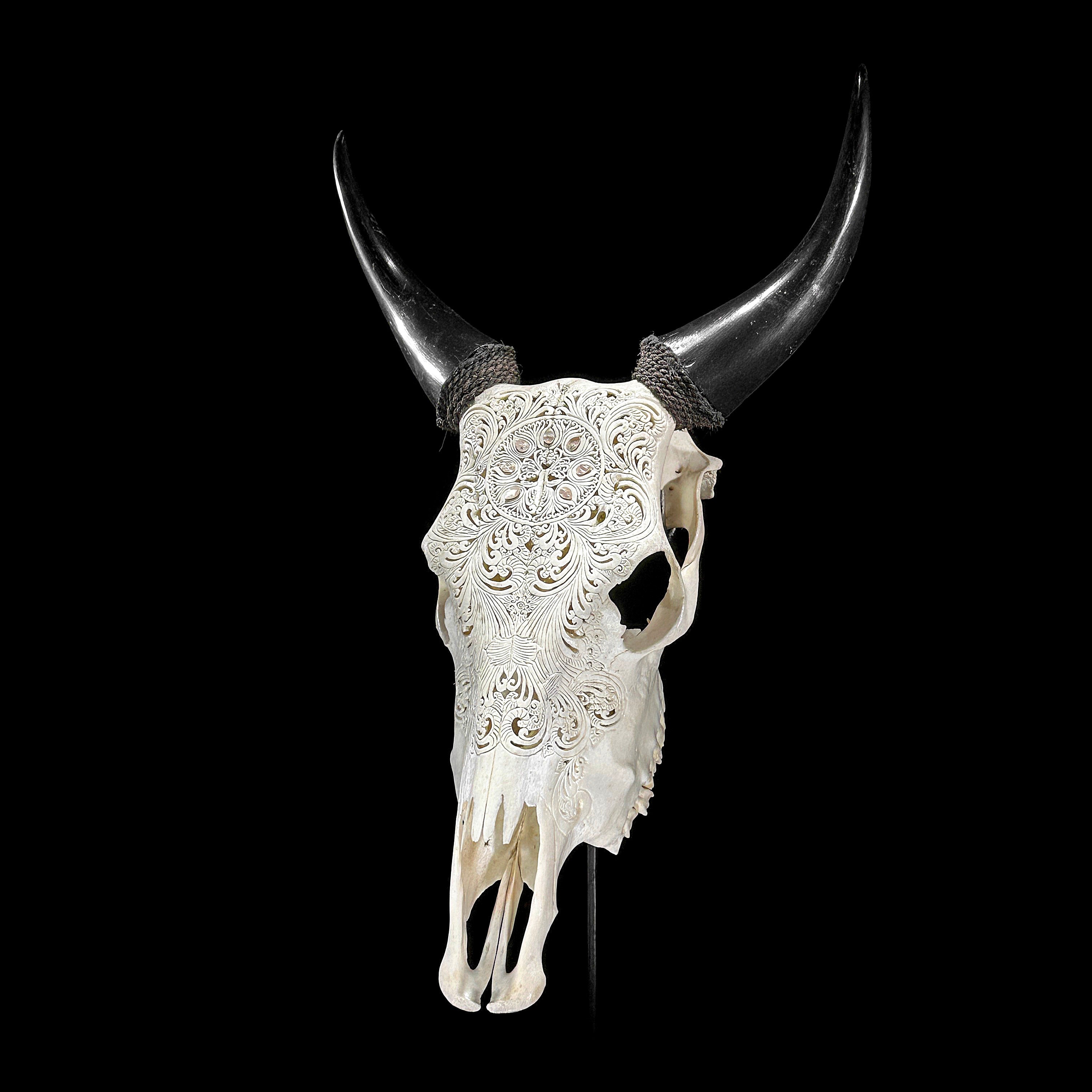 White Carved Cow Skull With Abalone Shell Accents - Peacock motif | Skull,A/143