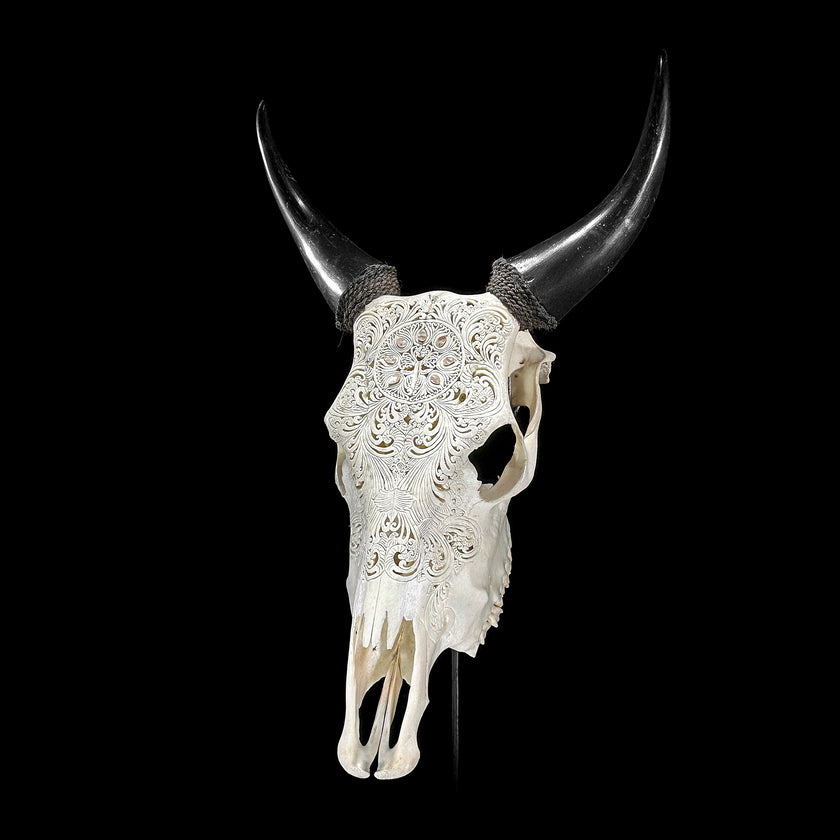 White Carved Cow Skull With Abalone Shell Accents - Peacock motif | Skull,A/143