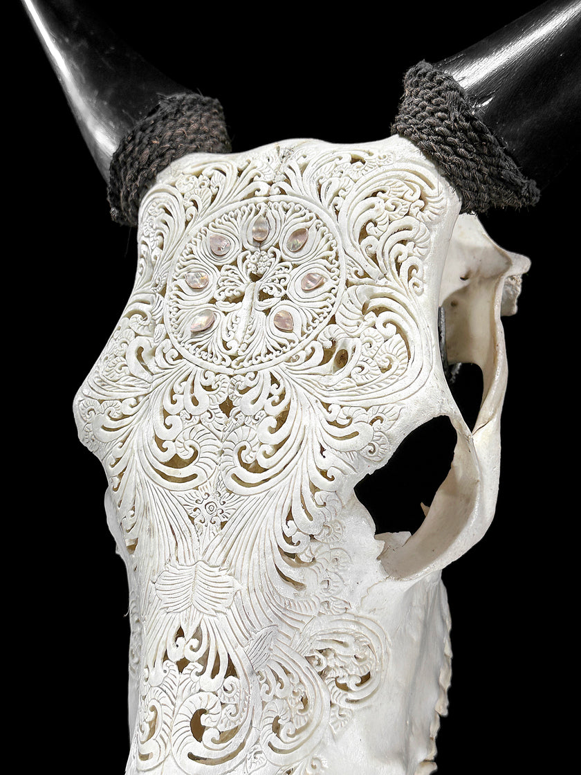White Carved Cow Skull With Abalone Shell Accents - Peacock motif | Skull,A/143