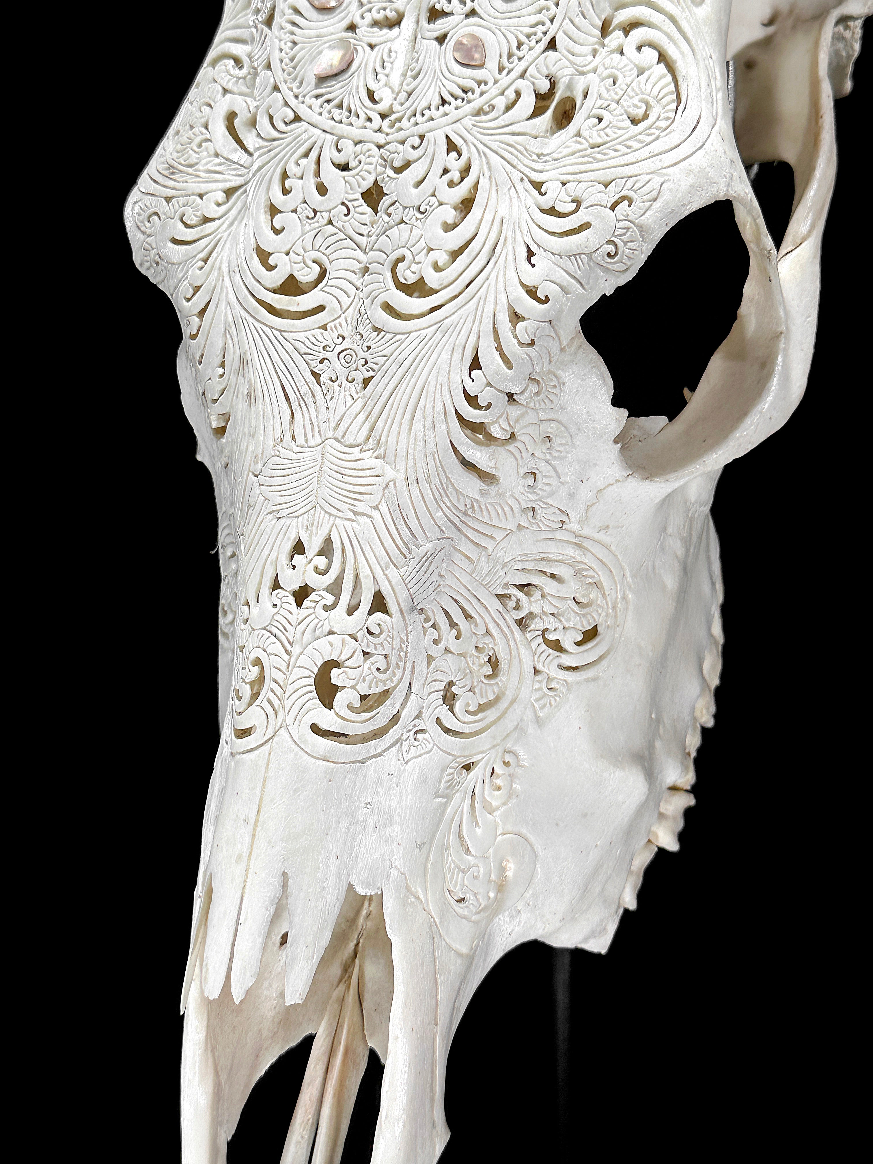 White Carved Cow Skull With Abalone Shell Accents - Peacock motif | Skull,A/143