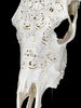 White Carved Cow Skull With Abalone Shell Accents - Peacock motif | Skull,A/143