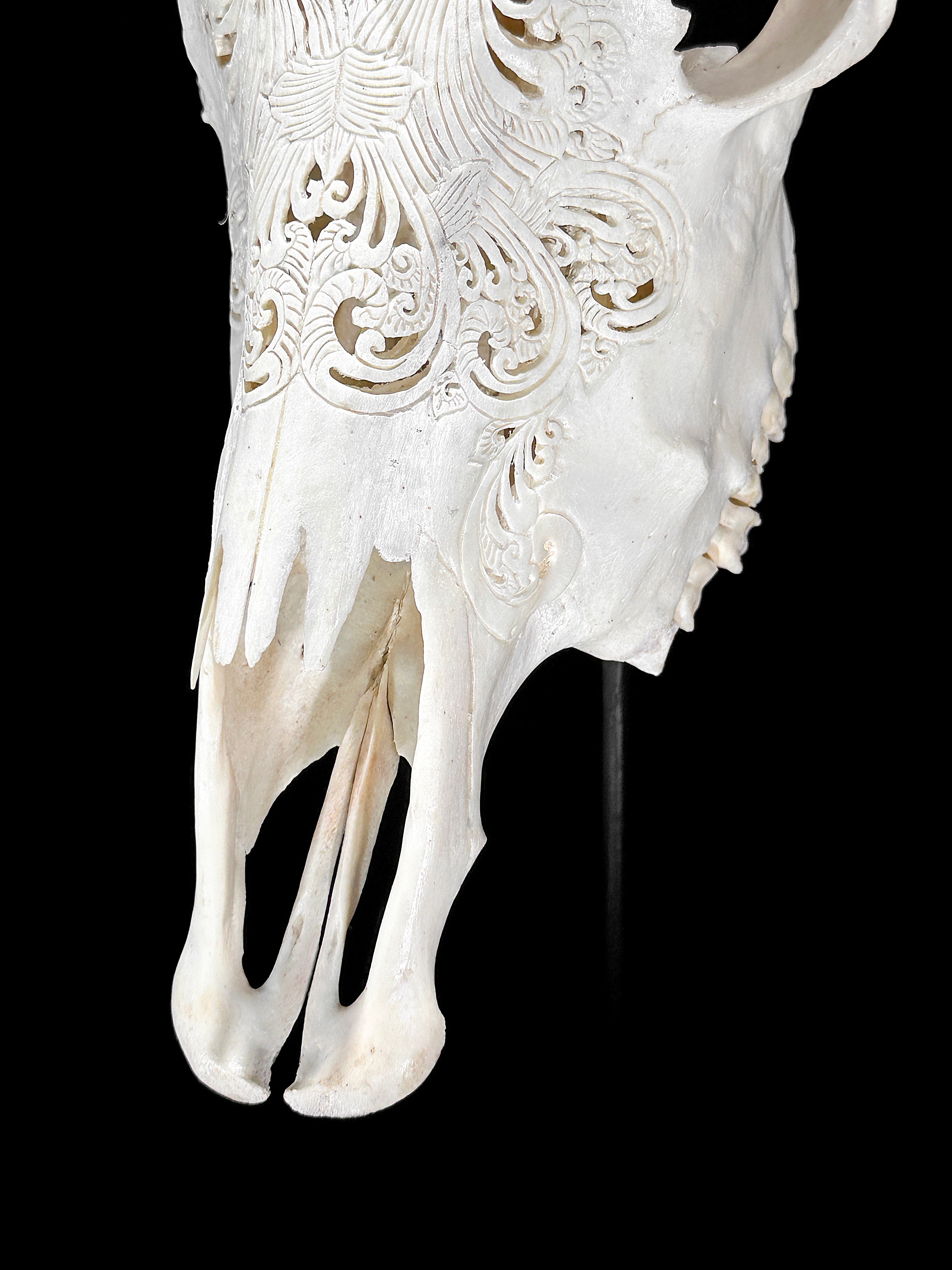 White Carved Cow Skull With Abalone Shell Accents - Peacock motif | Skull,A/143