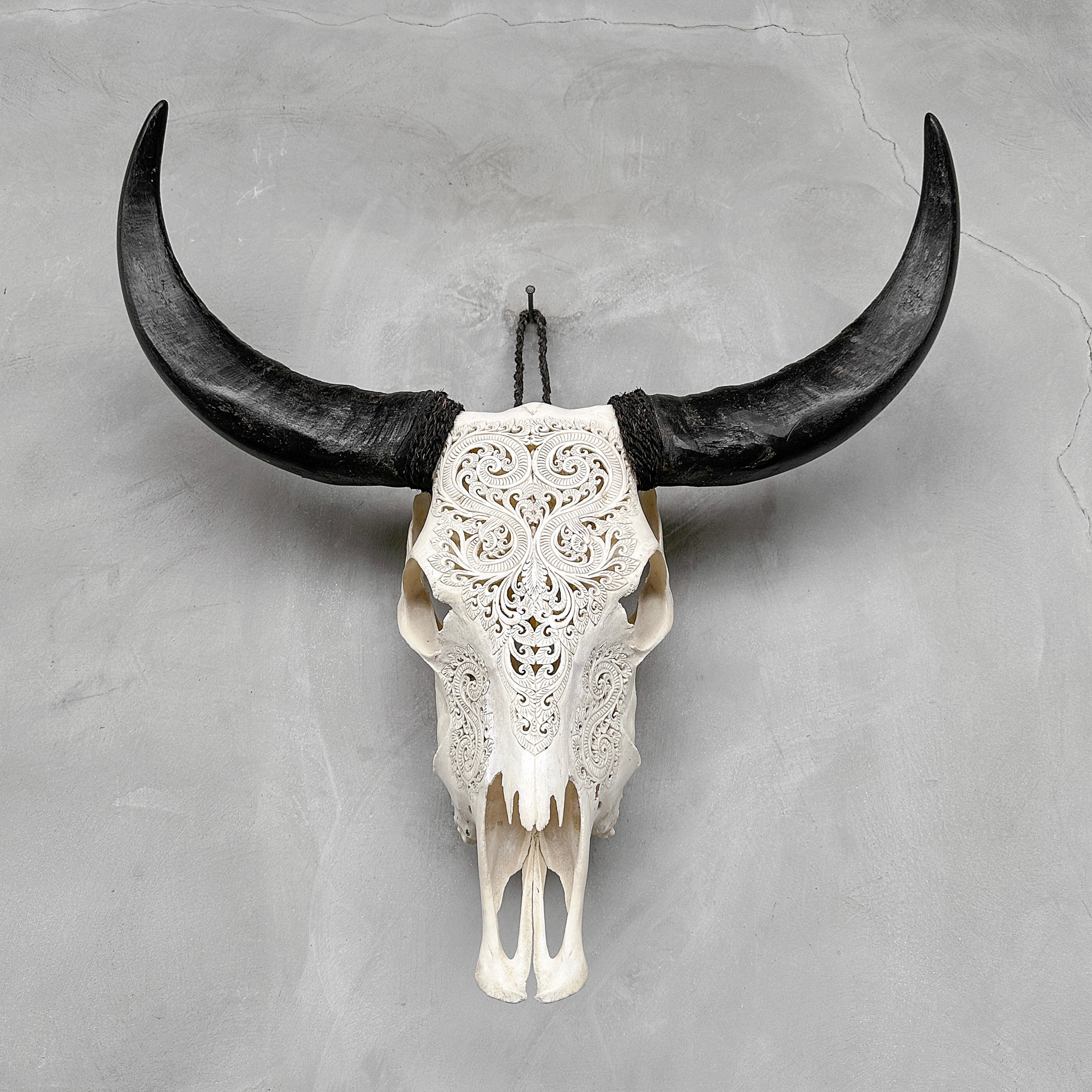 Carved Water Buffalo Skull with Leaf Scroll Design – White Bone Wall Art – Botanical Tribal Skull with Black Horns - Skull,A/057