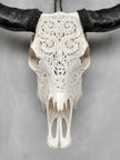 Carved Water Buffalo Skull with Leaf Scroll Design – White Bone Wall Art – Botanical Tribal Skull with Black Horns - Skull,A/057
