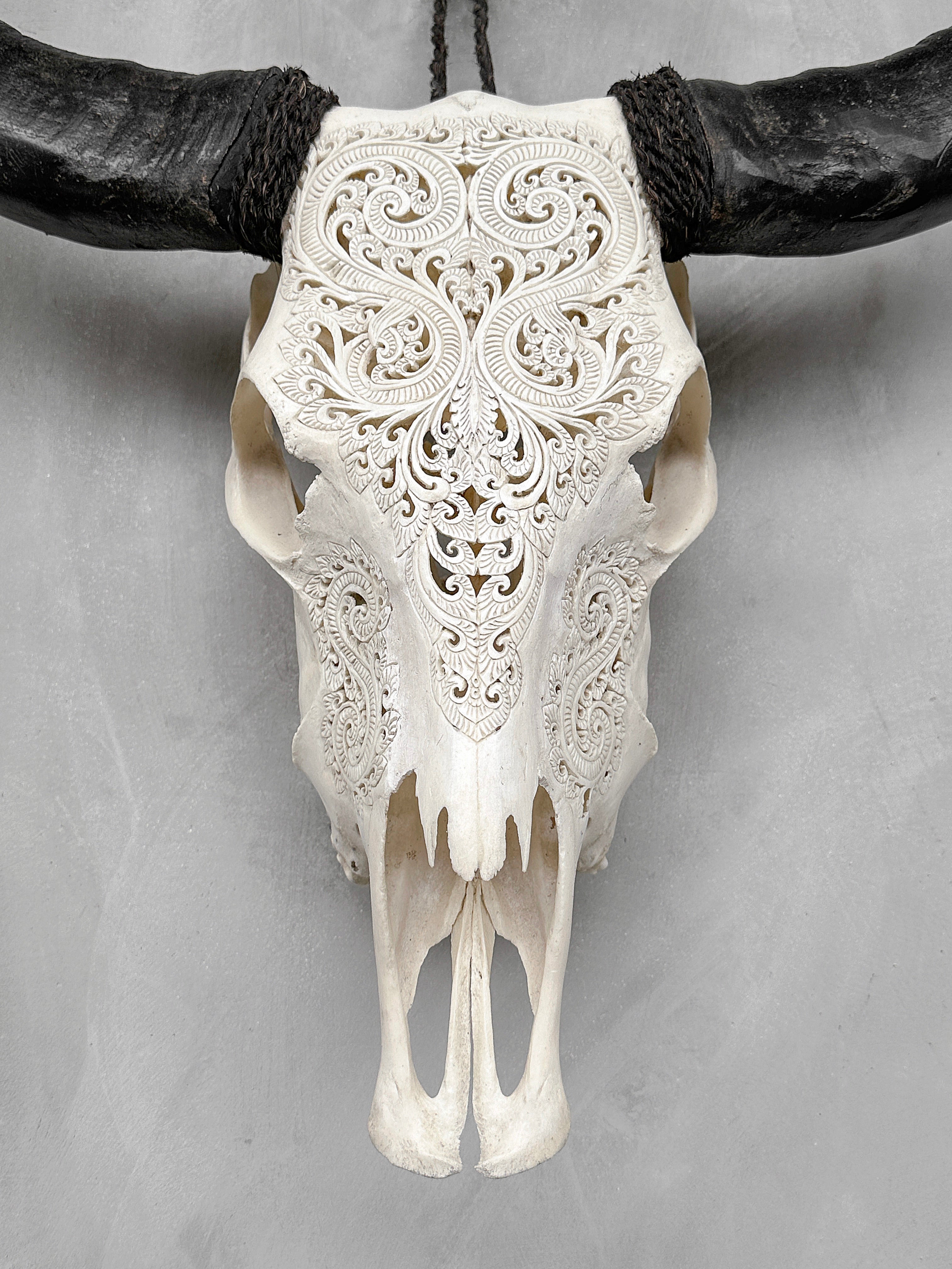 Carved Water Buffalo Skull with Leaf Scroll Design – White Bone Wall Art – Botanical Tribal Skull with Black Horns - Skull,A/057
