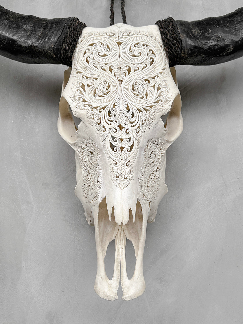 Buffalo Carved Daun - Skull,A/057