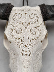 Carved Water Buffalo Skull with Leaf Scroll Design – White Bone Wall Art – Botanical Tribal Skull with Black Horns - Skull,A/057
