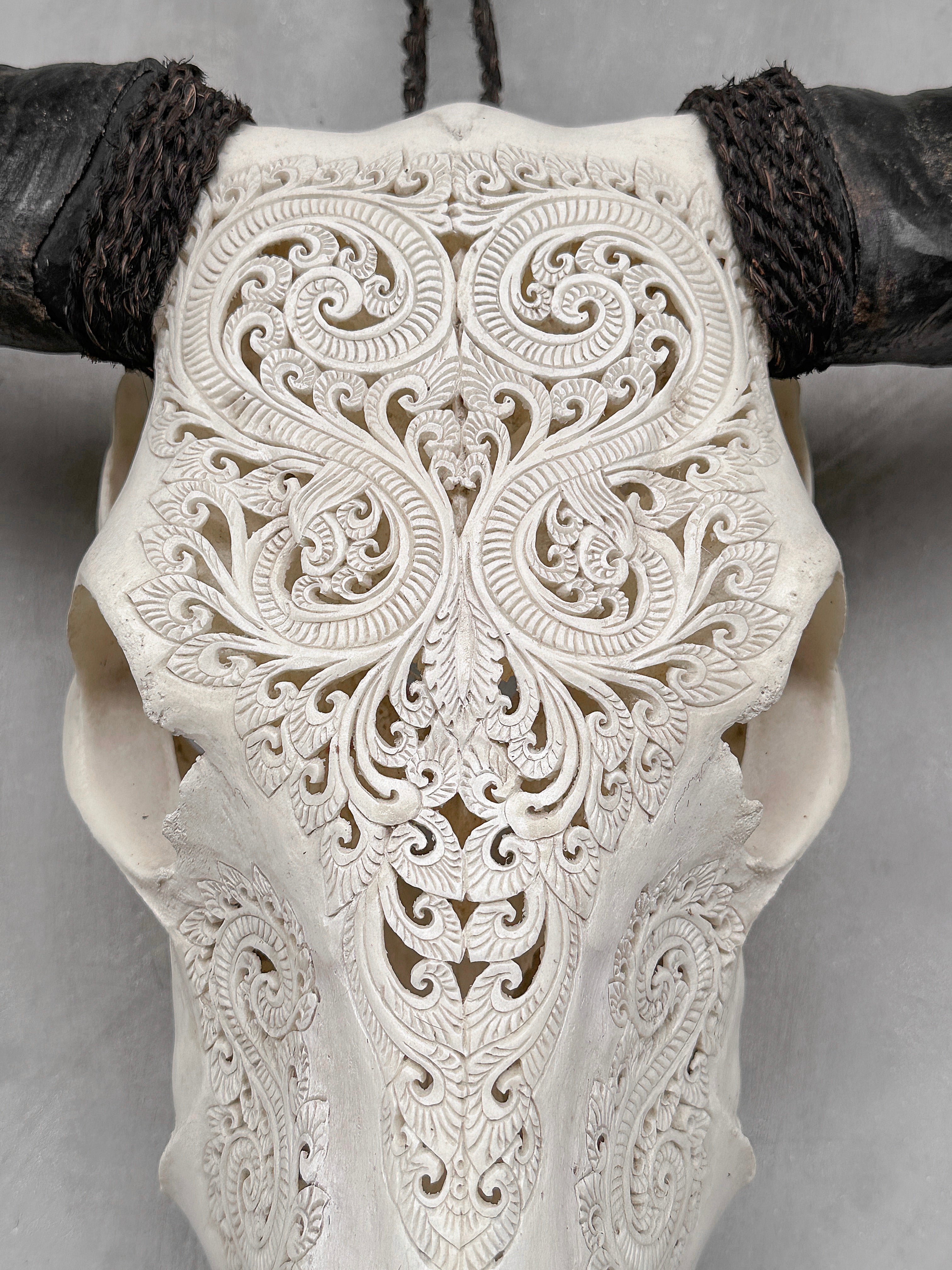 Carved Water Buffalo Skull with Leaf Scroll Design – White Bone Wall Art – Botanical Tribal Skull with Black Horns - Skull,A/057