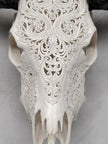 Carved Water Buffalo Skull with Leaf Scroll Design – White Bone Wall Art – Botanical Tribal Skull with Black Horns - Skull,A/057