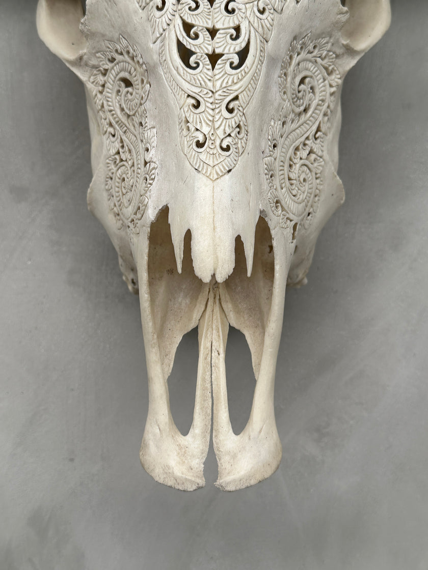Buffalo Carved Badong - Skull,A/057