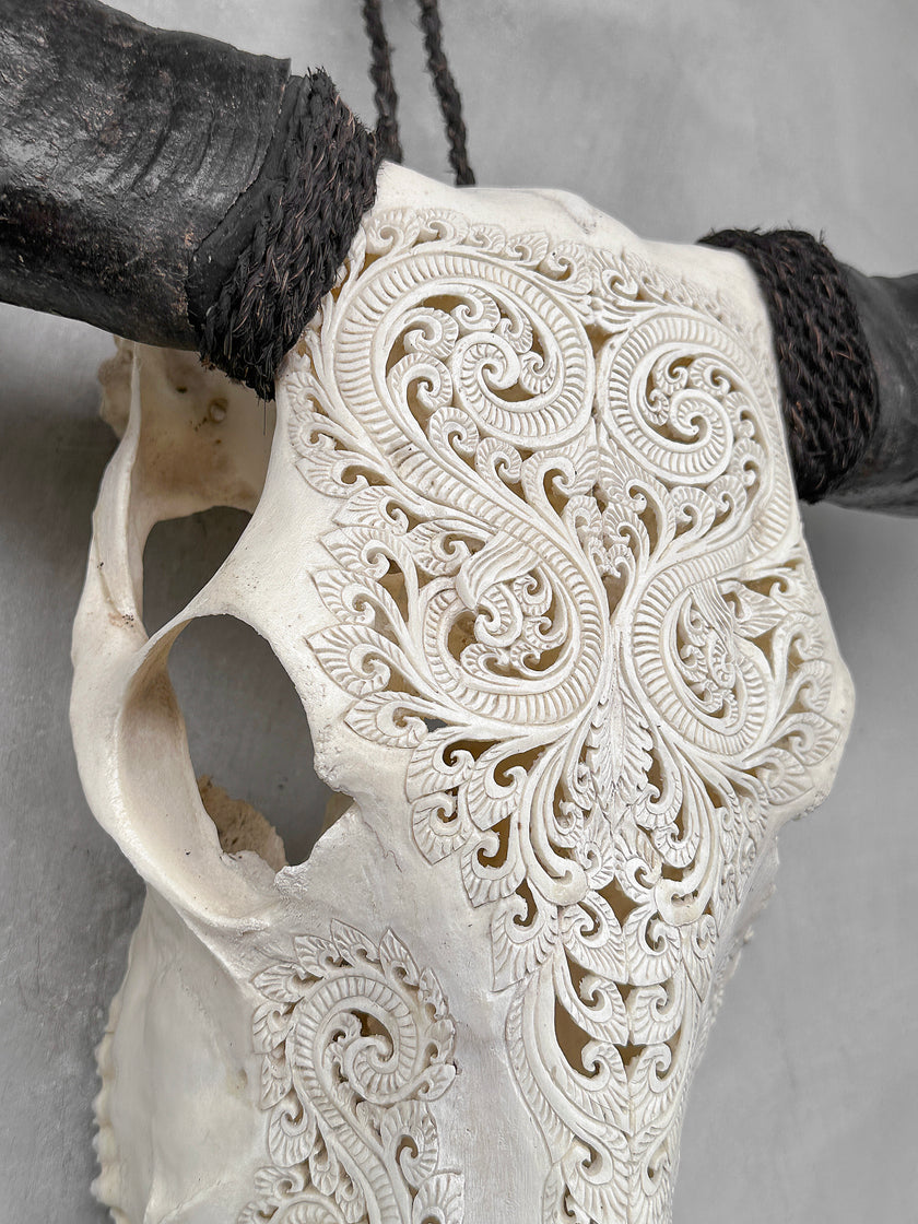 Buffalo Carved Daun - Skull,A/057
