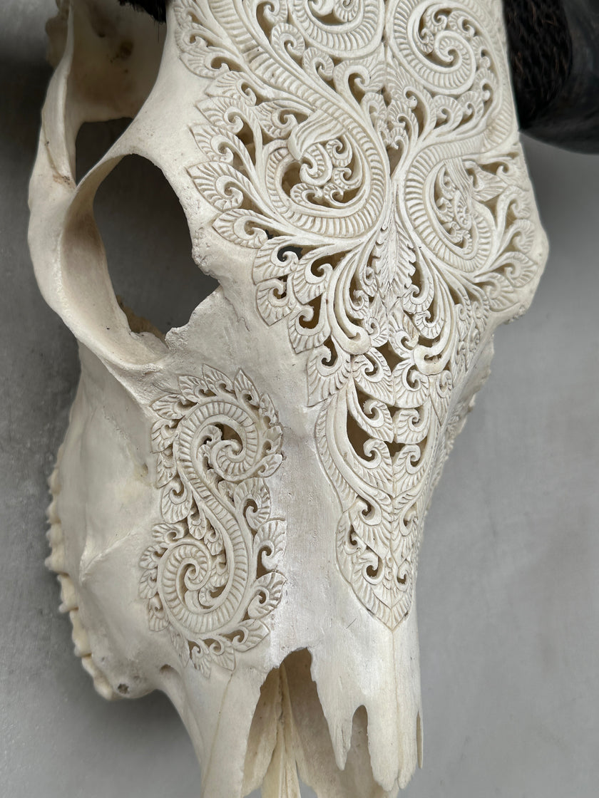 Buffalo Carved Badong - Skull,A/057