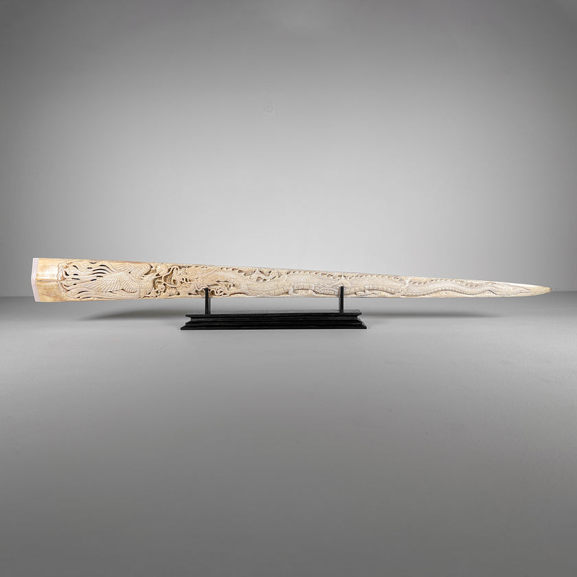 Carved Tusks 23/EX/007 Carving dragon phoenix