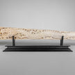 Carved Tusks 23/EX/007 Carving dragon phoenix