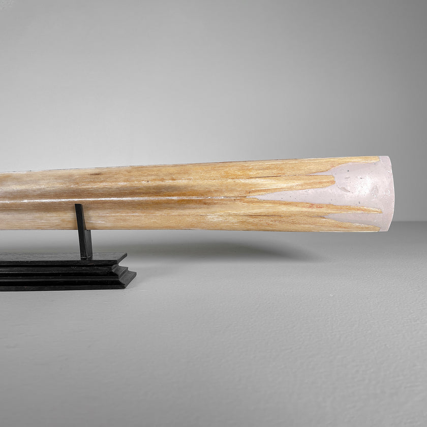 Carved Tusks 23/EX/007 Carving dragon phoenix