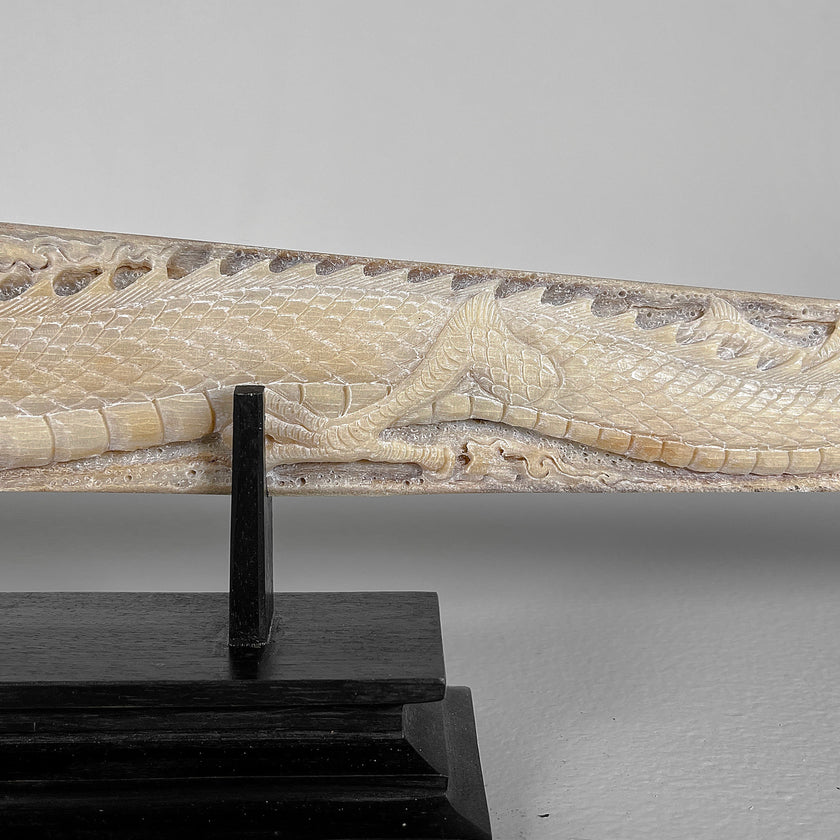 Carved Tusks 23/EX/008 Carving dragon phoenix