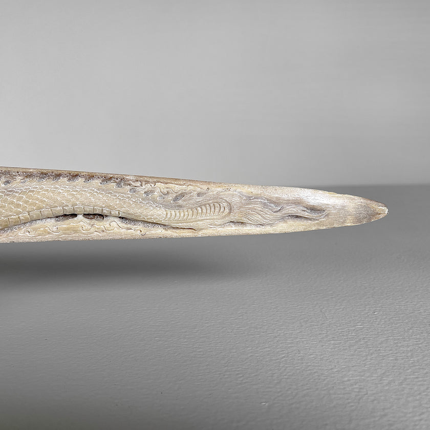 Carved Tusks 23/EX/008 Carving dragon phoenix