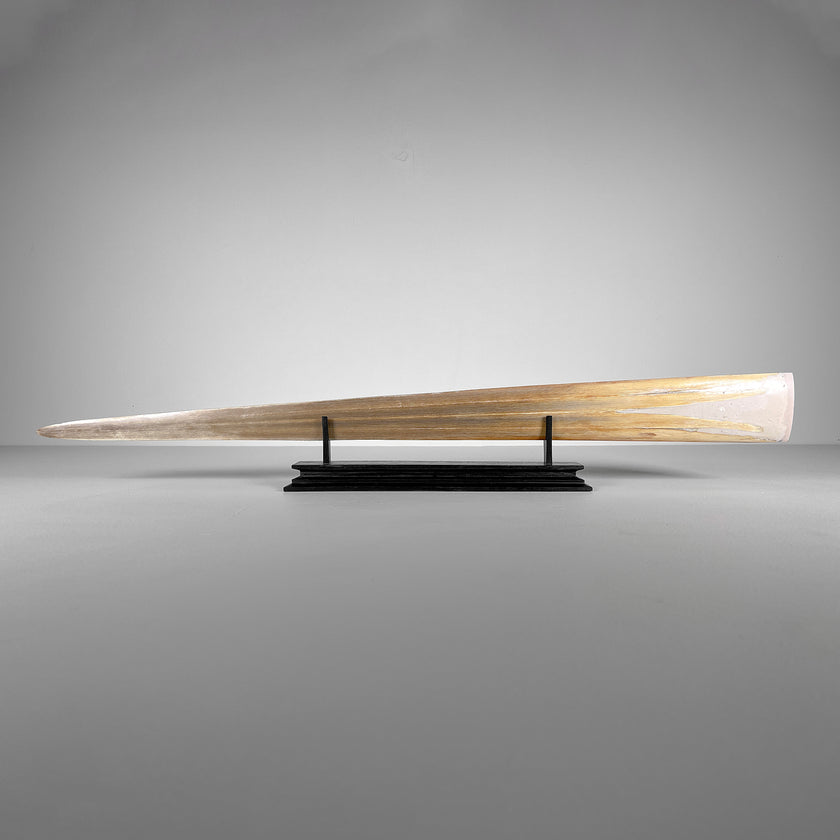 Carved Tusks 23/EX/008 Carving dragon phoenix