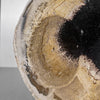 A Beautiful Slice of Petrified Palm Root on stand  PetW/047