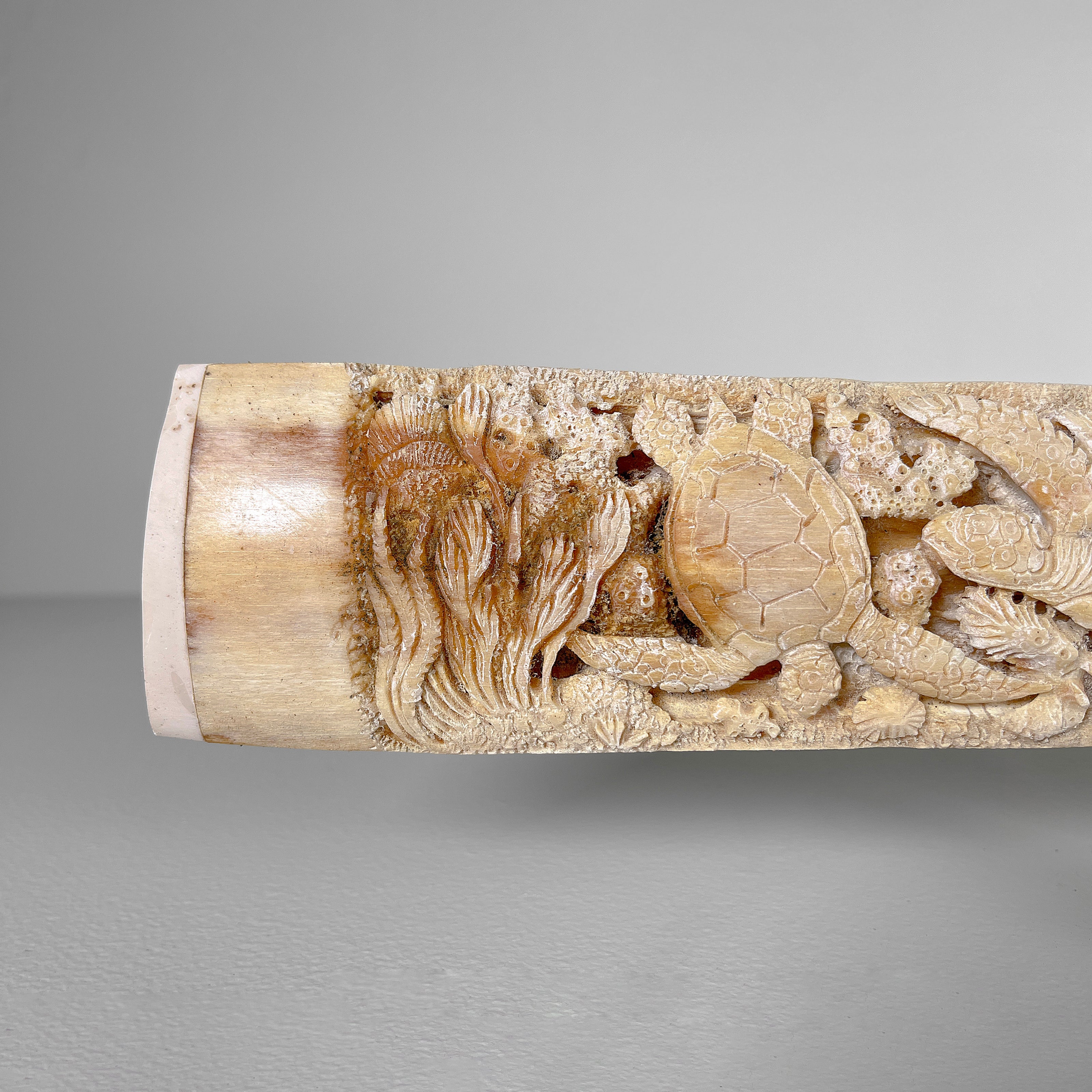 Carved Tusks 23/EX/002 Carving marine