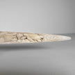 Carved Tusks 23/EX/002 Carving marine