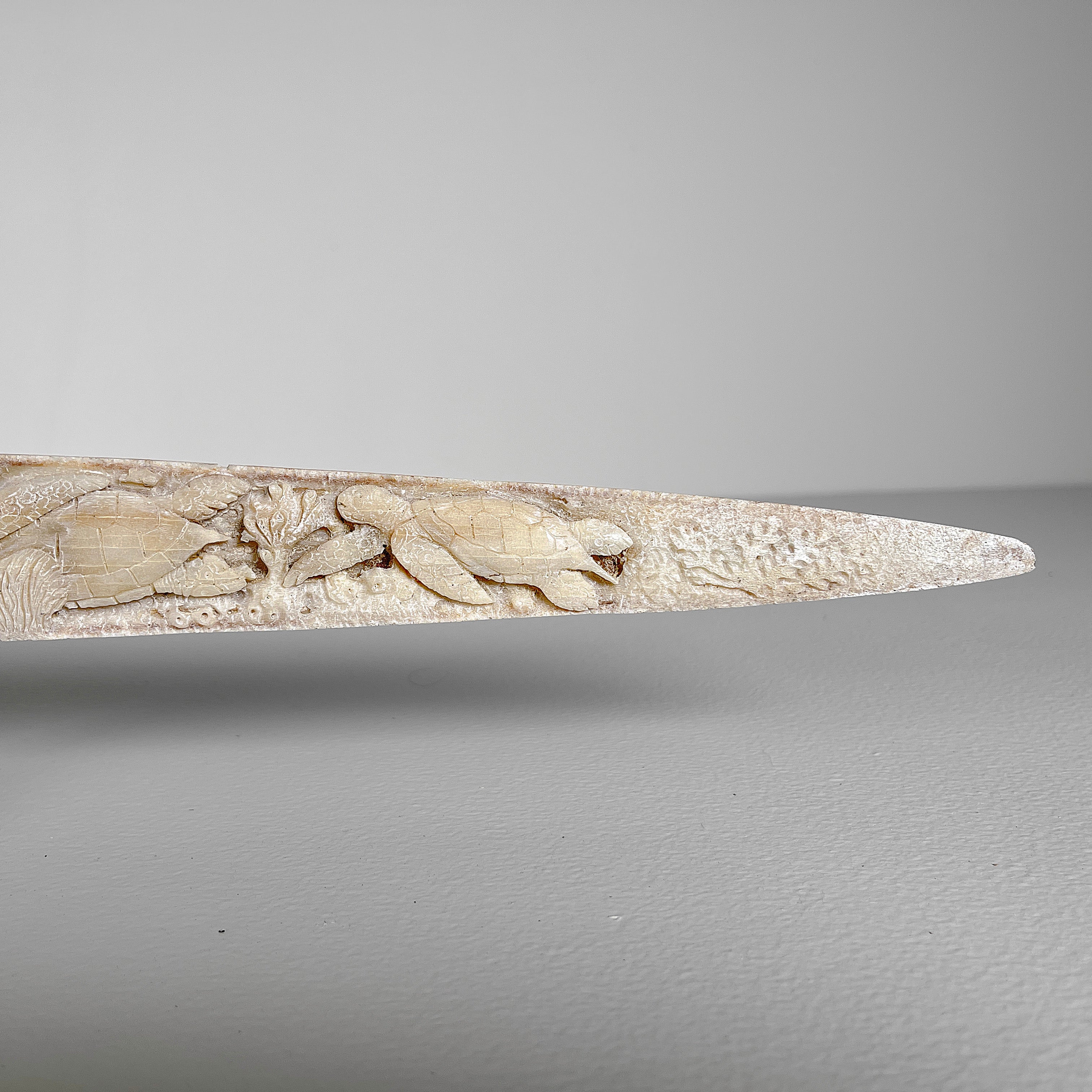 Carved Tusks 23/EX/002 Carving marine