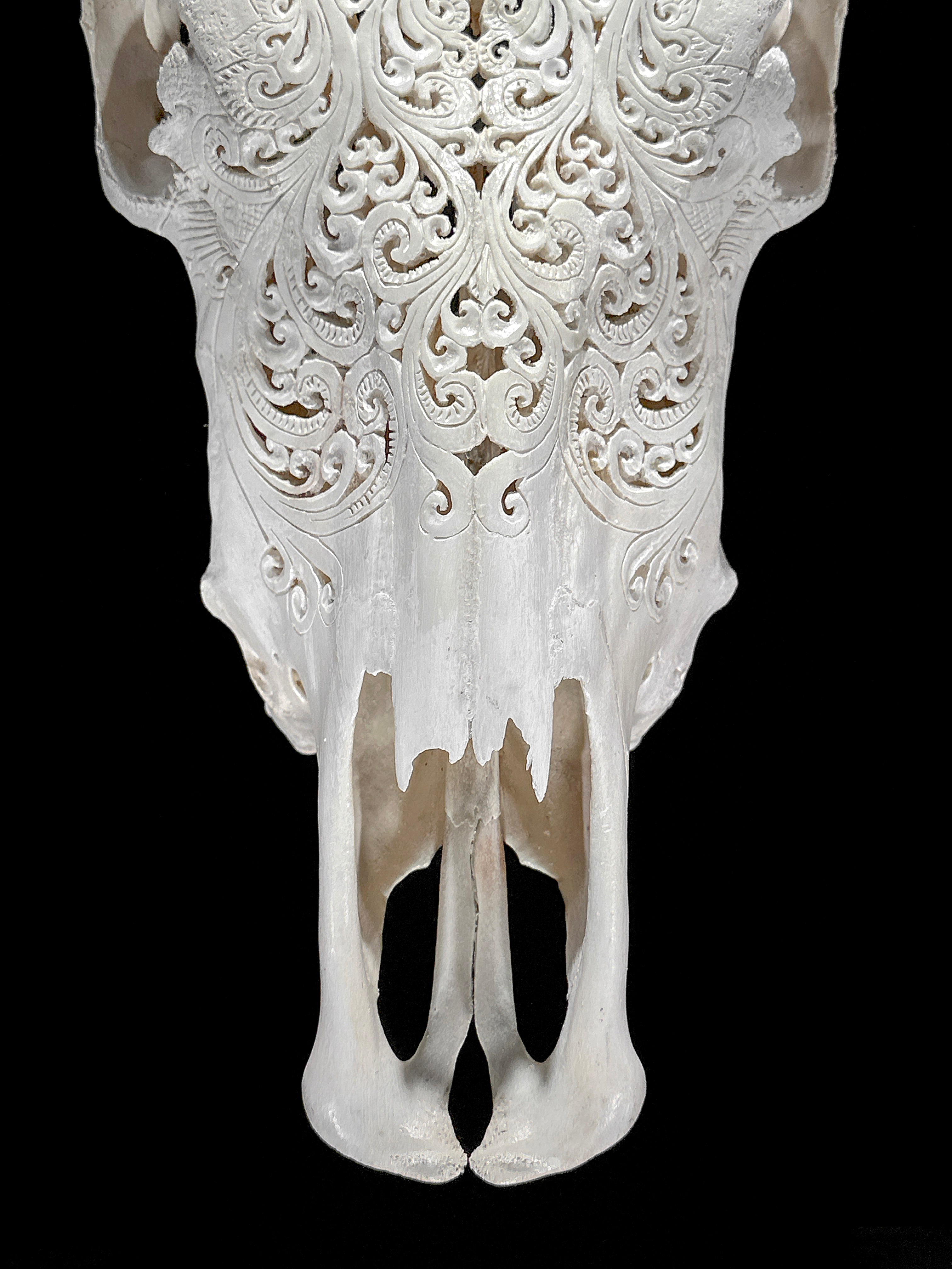 Bull Skull Carved Tradball - Skull,A/150